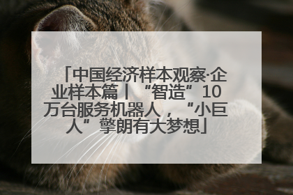 中国经济样本观察·企业样本篇丨“智造”10万台服务机器人，“小巨人”擎朗有大梦想