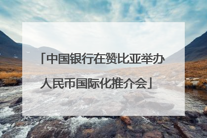 中国银行在赞比亚举办人民币国际化推介会