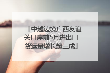 中越边境广西友谊关口岸前5月进出口货运量增长超三成