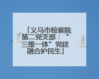 义马市检察院第二党支部：“三维一体”党建融合护民生