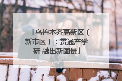 乌鲁木齐高新区（新市区）：贯通产学研 融出新图景