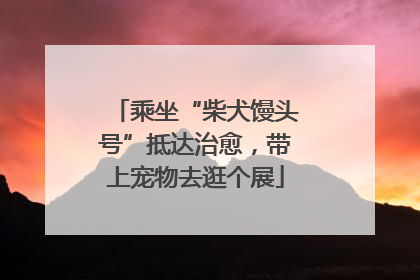 乘坐“柴犬馒头号”抵达治愈，带上宠物去逛个展