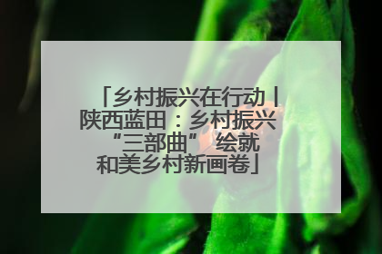 乡村振兴在行动丨陕西蓝田：乡村振兴 “三部曲” 绘就和美乡村新画卷
