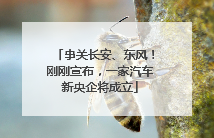 事关长安、东风！刚刚宣布，一家汽车新央企将成立