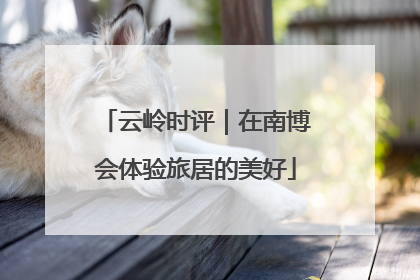 云岭时评｜在南博会体验旅居的美好