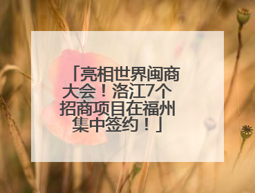 亮相世界闽商大会！洛江7个招商项目在福州集中签约！