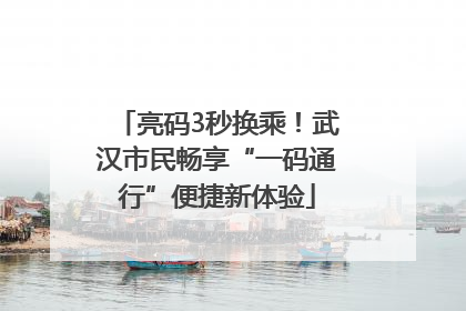 亮码3秒换乘！武汉市民畅享“一码通行”便捷新体验
