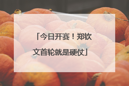 今日开赛！郑钦文首轮就是硬仗