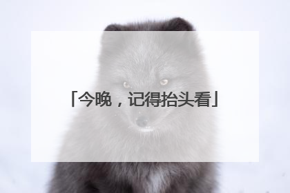 今晚，记得抬头看