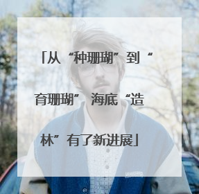 从“种珊瑚”到“育珊瑚” 海底“造林”有了新进展