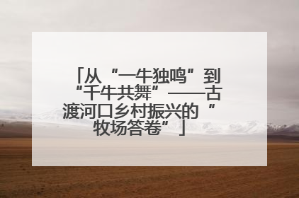 从“一牛独鸣”到“千牛共舞”——古渡河口乡村振兴的“牧场答卷”