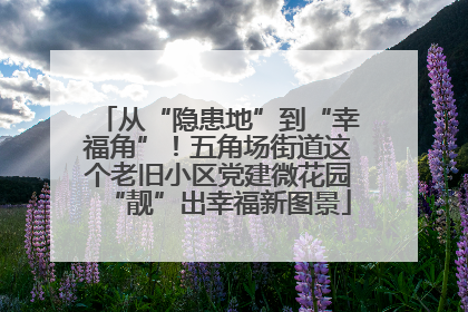 从“隐患地”到“幸福角”！五角场街道这个老旧小区党建微花园“靓”出幸福新图景