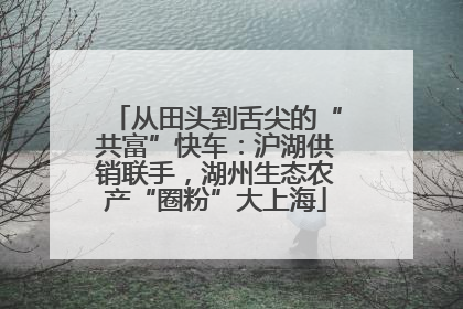 从田头到舌尖的“共富”快车：沪湖供销联手，湖州生态农产“圈粉”大上海
