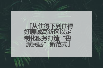 从住得下到住得好聊城高新区以定制化服务打造“鲁派民居”新范式