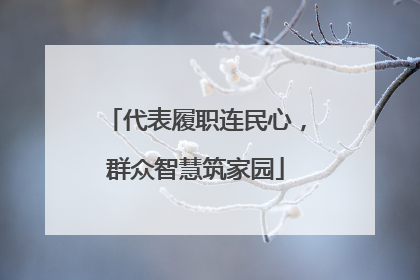 代表履职连民心，群众智慧筑家园