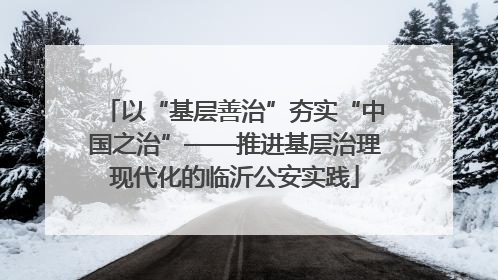 以“基层善治”夯实“中国之治”——推进基层治理现代化的临沂公安实践