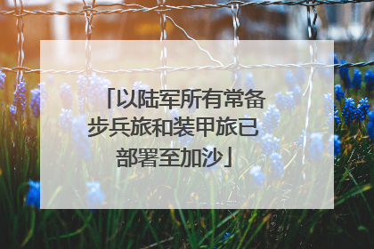 以陆军所有常备步兵旅和装甲旅已部署至加沙