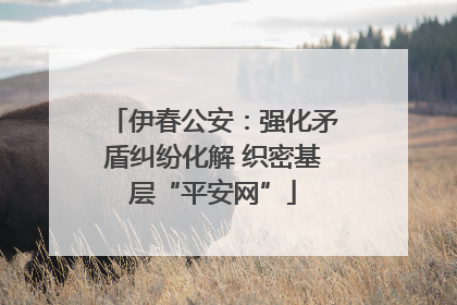 伊春公安：强化矛盾纠纷化解 织密基层“平安网”