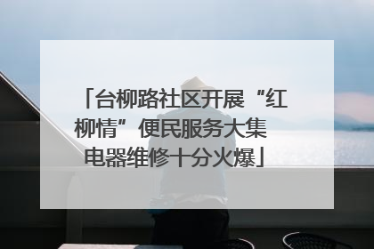 台柳路社区开展“红柳情”便民服务大集 电器维修十分火爆