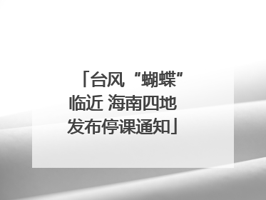 台风“蝴蝶”临近 海南四地发布停课通知
