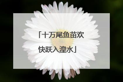 十万尾鱼苗欢快跃入湟水