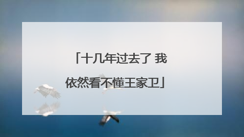 十几年过去了 我依然看不懂王家卫