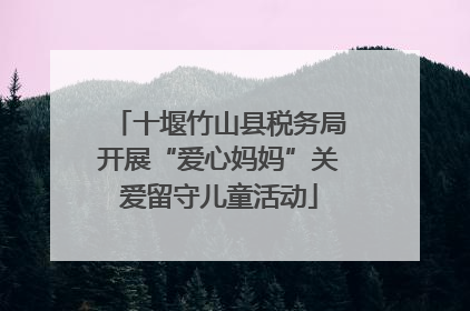 十堰竹山县税务局开展“爱心妈妈”关爱留守儿童活动