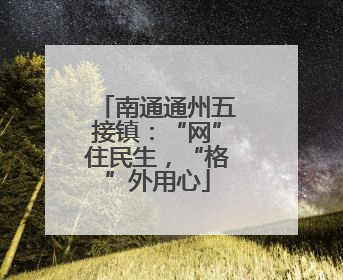 南通通州五接镇：“网”住民生，“格”外用心
