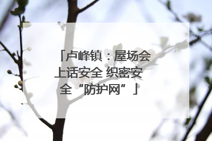 卢峰镇：屋场会上话安全 织密安全“防护网”