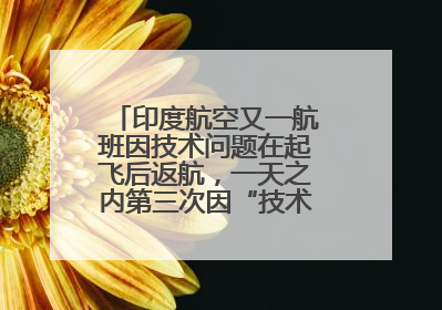 印度航空又一航班因技术问题在起飞后返航，一天之内第三次因“技术问题”返航
