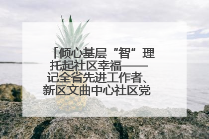 倾心基层“智”理 托起社区幸福——记全省先进工作者、新区文曲中心社区党委书记董世弘