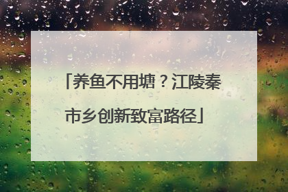 养鱼不用塘？江陵秦市乡创新致富路径
