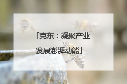 克东：凝聚产业发展澎湃动能