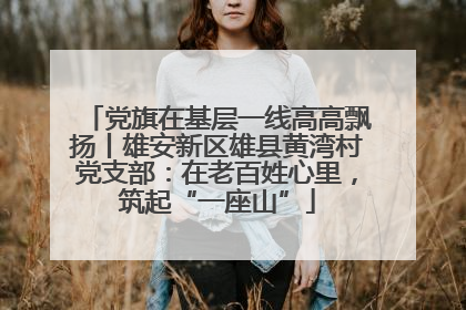 党旗在基层一线高高飘扬丨雄安新区雄县黄湾村党支部：在老百姓心里，筑起“一座山”