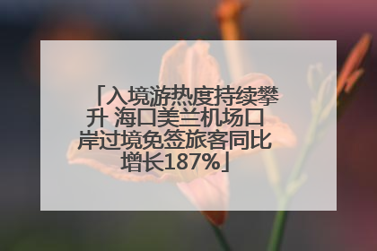 入境游热度持续攀升 海口美兰机场口岸过境免签旅客同比增长187%