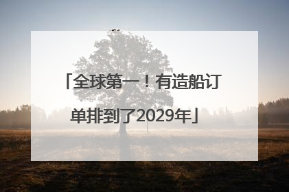 全球第一！有造船订单排到了2029年