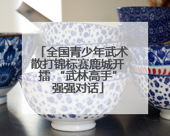全国青少年武术散打锦标赛鹿城开擂 “武林高手”强强对话