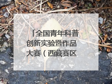 全国青年科普创新实验暨作品大赛（西藏赛区）复赛关注智慧环保等主题