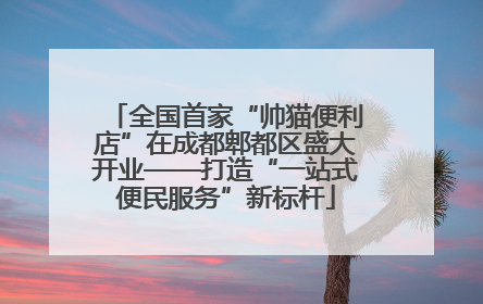 全国首家“帅猫便利店”在成都郫都区盛大开业——打造“一站式便民服务”新标杆