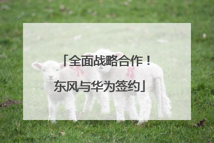 全面战略合作！东风与华为签约