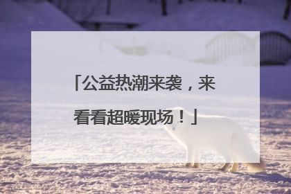 公益热潮来袭，来看看超暖现场！
