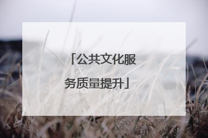 公共文化服务质量提升