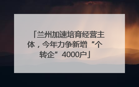 兰州加速培育经营主体，今年力争新增“个转企”4000户