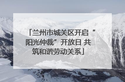 兰州市城关区开启“阳光仲裁”开放日 共筑和谐劳动关系