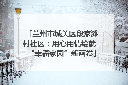 兰州市城关区段家滩村社区：用心用情绘就“幸福家园”新画卷