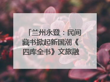 兰州永登：民间藏书掀起新国潮《四库全书》文旅融合促发展