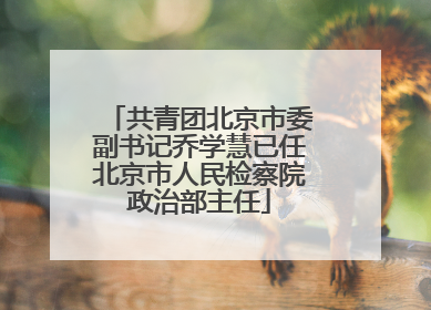 共青团北京市委副书记乔学慧已任北京市人民检察院政治部主任