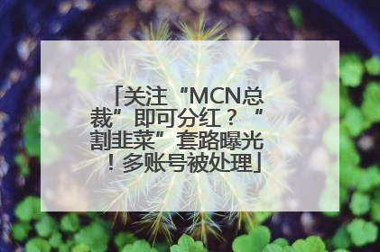 关注“MCN总裁”即可分红？“割韭菜”套路曝光！多账号被处理