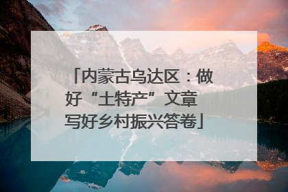内蒙古乌达区：做好“土特产”文章 写好乡村振兴答卷