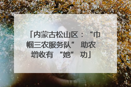 内蒙古松山区：“巾帼三农服务队” 助农增收有 “她” 功